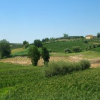Colline in primavera
