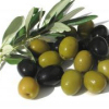 Olive verdi e nere